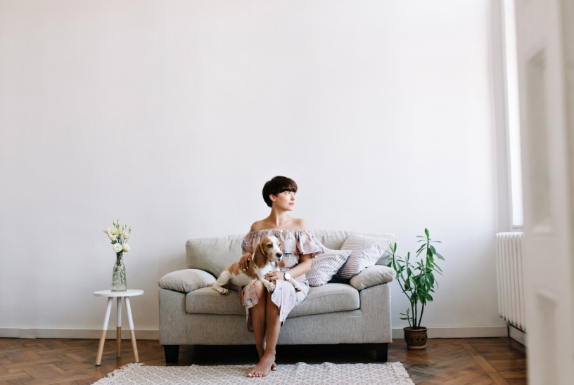Sunlit room with pale walls highlighting how wall color affects energy efficiency.