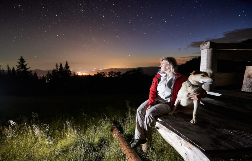 Person enjoying backyard stargazing with a dog under a clear, starry night sky.